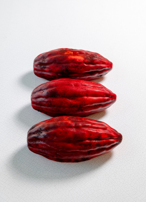 XXL Cocoa Pod