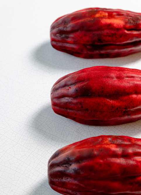 XXL Cocoa Pod