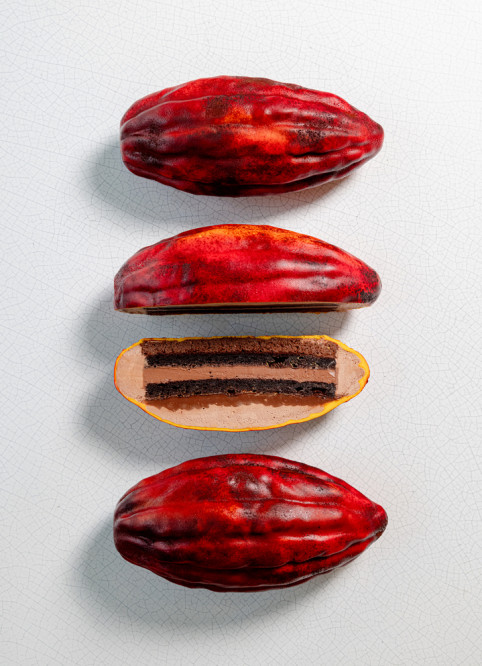 XXL Cocoa Pod