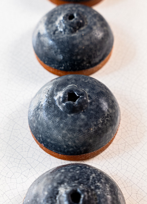 Blueberry Tart