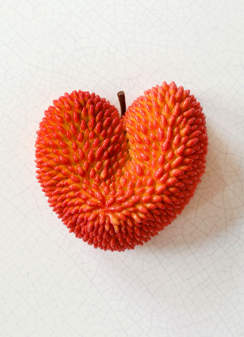 Cœur Litchi