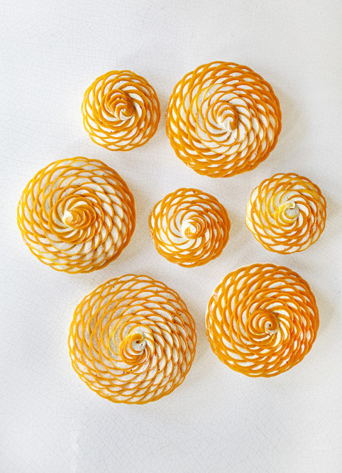 Fleur Pavlova Mangue