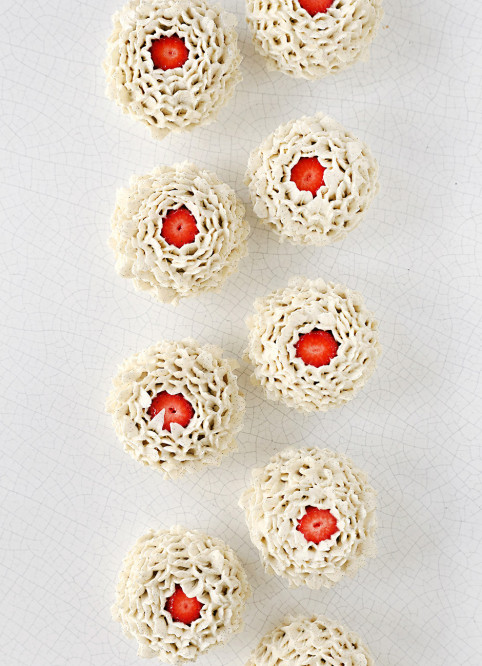 Fleur Fraisier