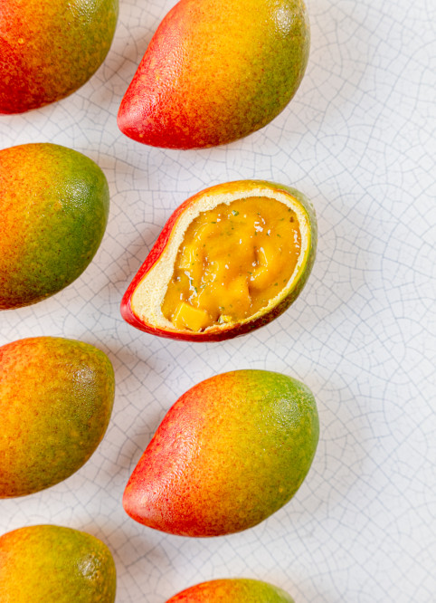 Mangue