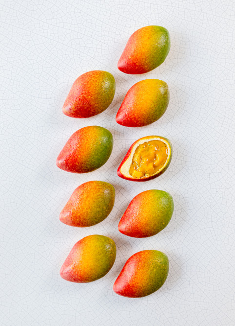 Mangue