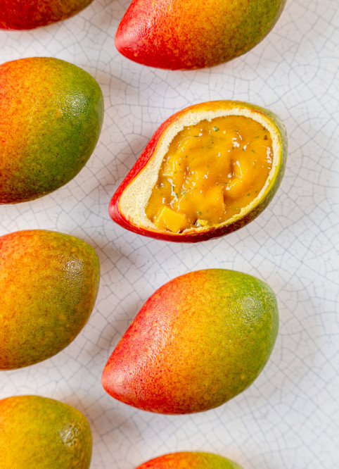 Mangue