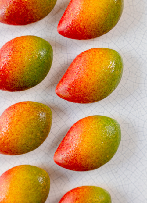 Mangue