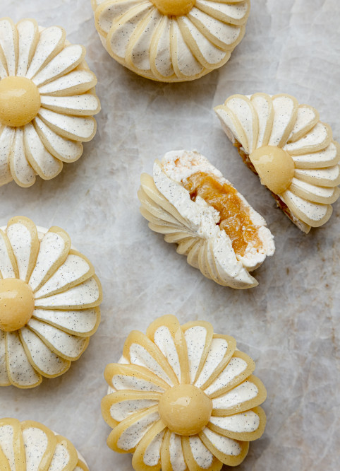 Yuzu Pavlova Flower