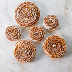 Fleur Mont-Blanc
