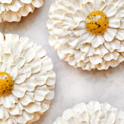 Fleur Baba Exotique