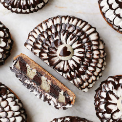 Fleur Vanille Chocolat