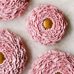Fleur Framboise Pistache