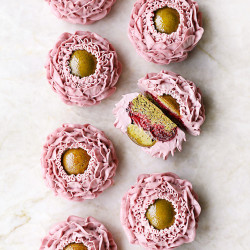 Fleur Framboise Pistache