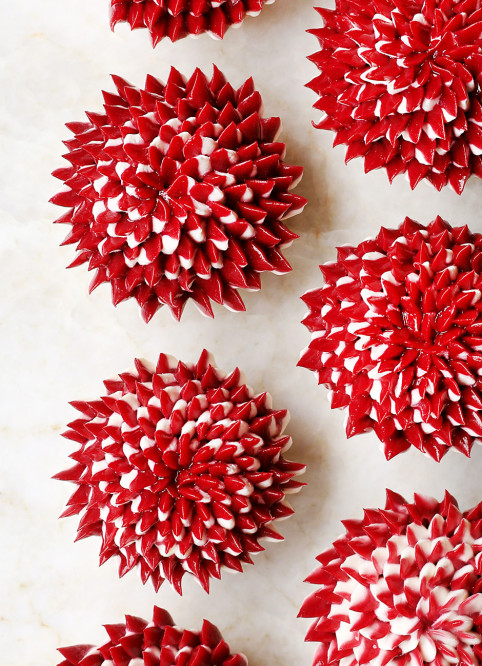 Raspberry Cheesecake flower