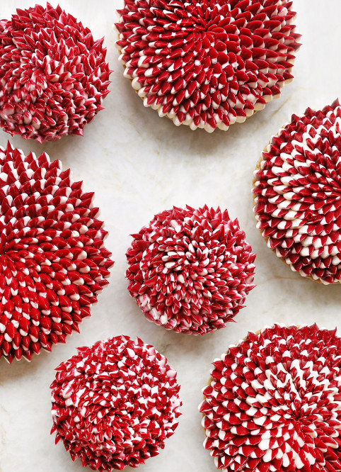 Fleur Cheesecake Framboise