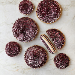 Blackberry Flower Cake