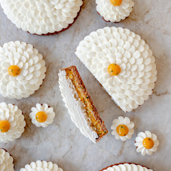 Coconut Passion Fruit Flower