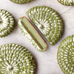 Fleur Coco Matcha