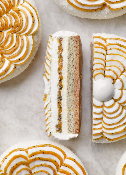 Coconut Passion Flower