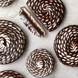 Fleur Vanille Chocolat