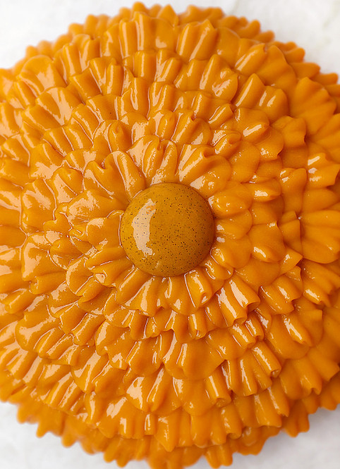 Fleur Mangue
