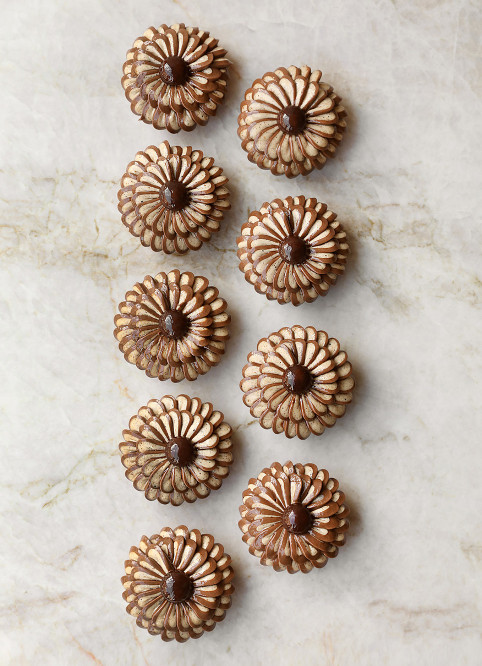Fleur Noisette