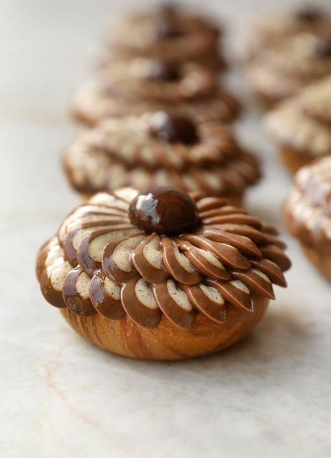 Fleur Noisette