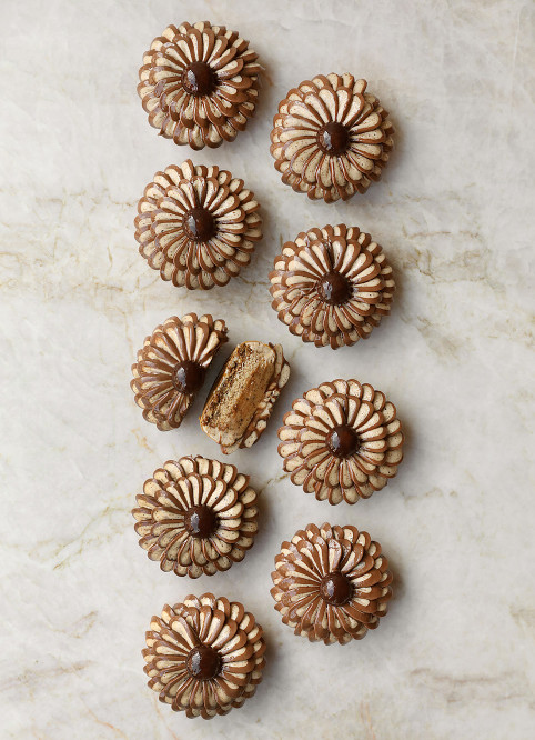 Fleur Noisette