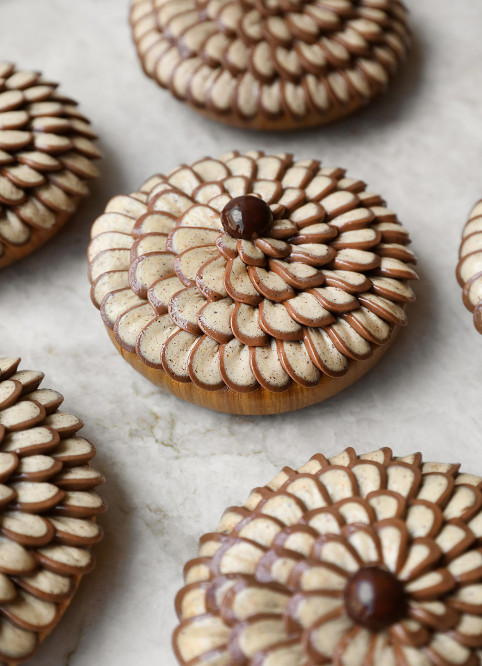 Fleur Noisette