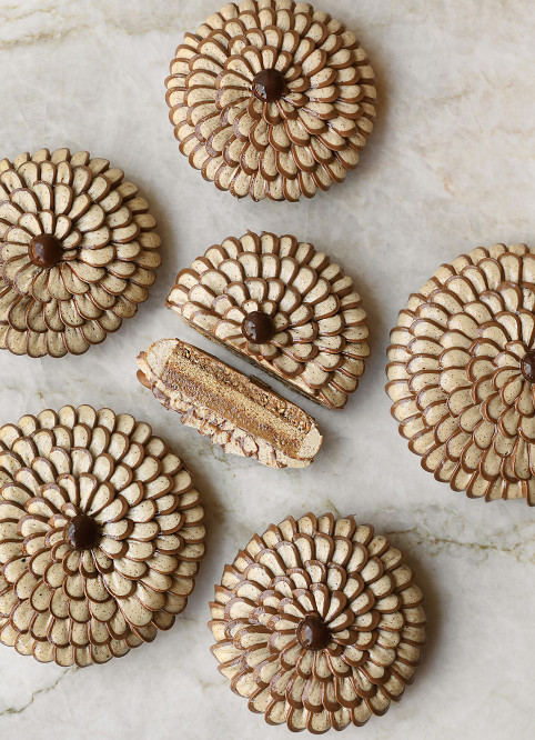 Fleur Noisette