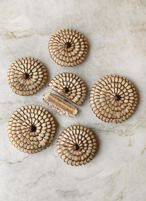Fleur Noisette
