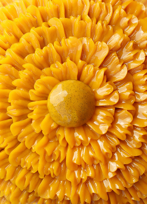 Fleur Mangue