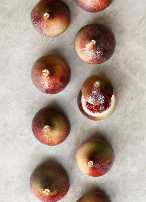 Fig