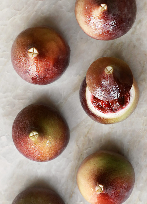 Fig
