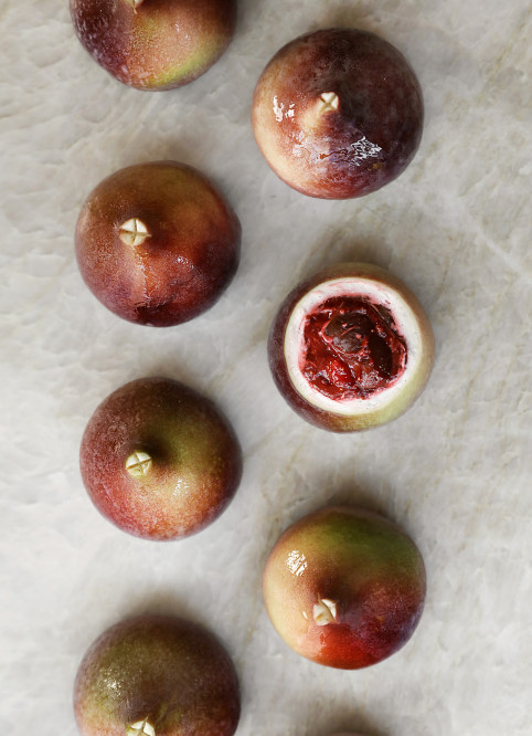 Fig