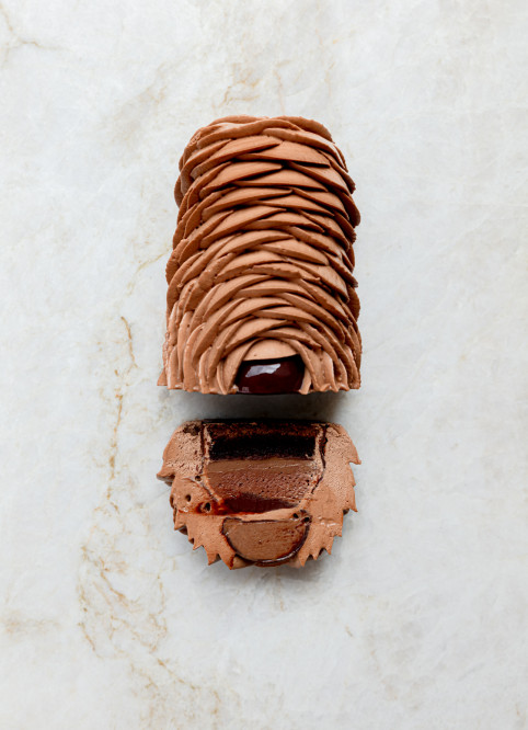 Bûche Fleur Chocolat
