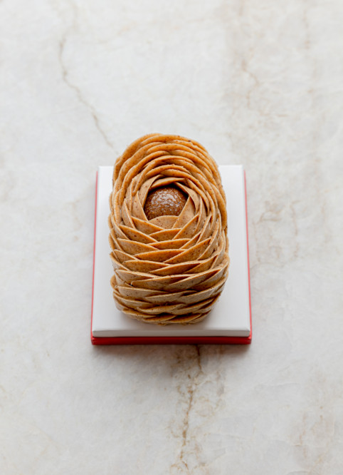 Hazelnut Flower Bûche