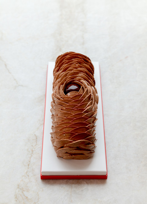 Bûche Fleur Chocolat