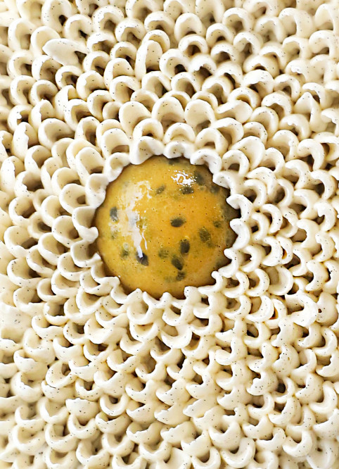 Coconut Passionfruit Entremet