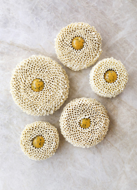 Coconut Passionfruit Entremet