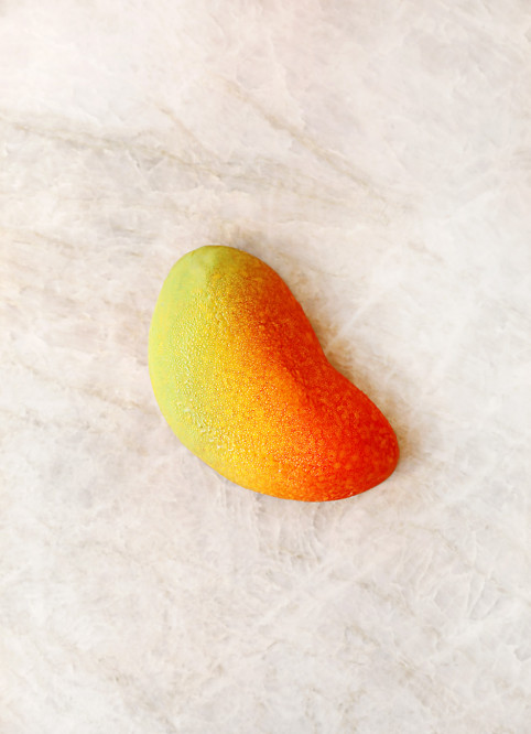 Sculpted Mango Tart