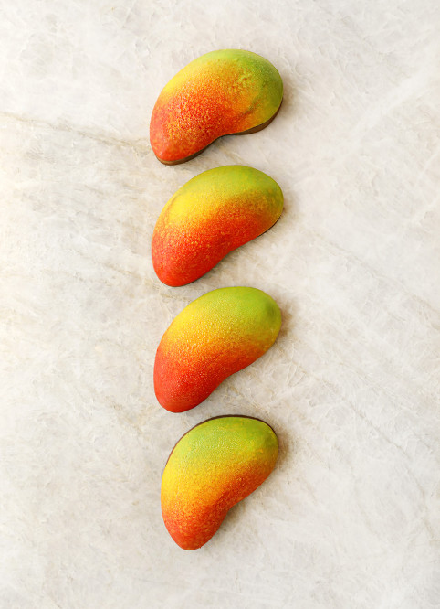 Sculpted Mango Tart