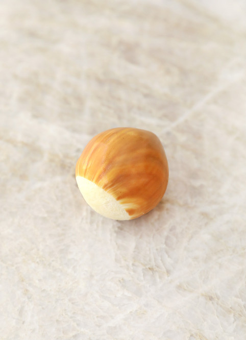 Noisette