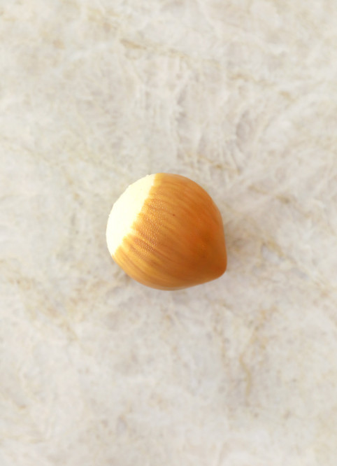 Noisette