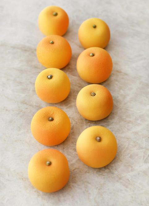Pamplemousse