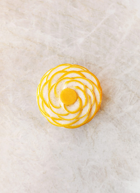 Fleur Pavlova Mangue