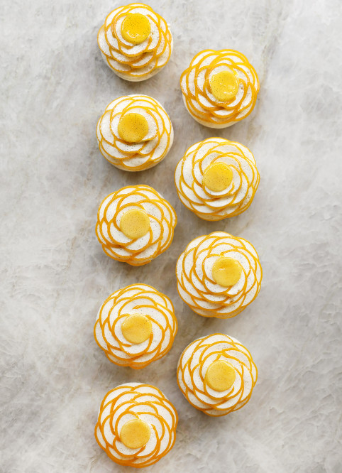 Fleur Pavlova Mangue