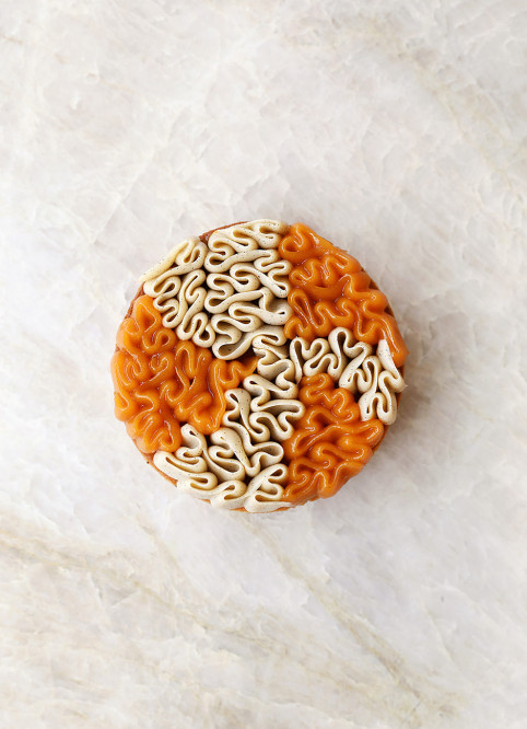 Cake Vanille Abricot