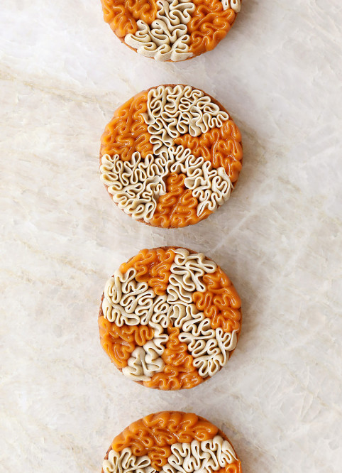 Cake Vanille Abricot