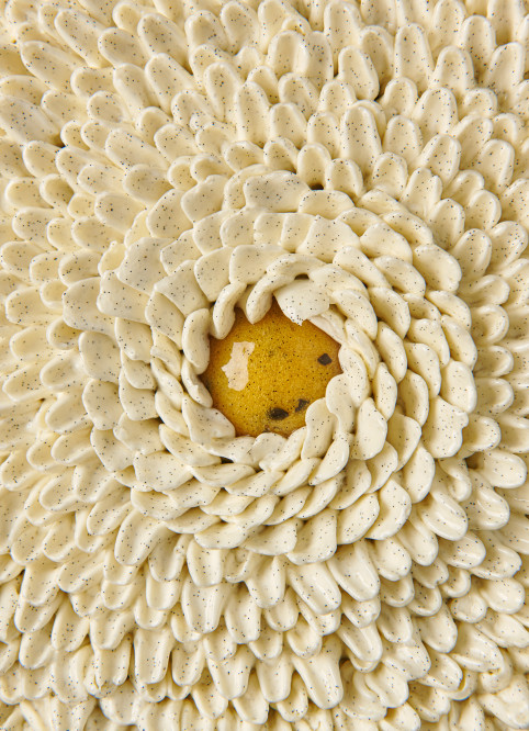Passionfruit Flower